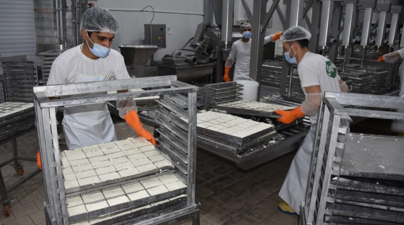 KTSO: “Yeşil Hat üzerinden hellim ihracatındaki engel kalkıyor”