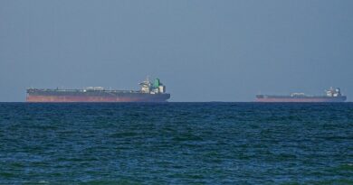 İran’a gıda taşıyan yük gemisi ve Irak’a giden tanker, Hürmüz’den Basra Körfezi’ne girdi