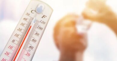 Dünya Meteoroloji Örgütü: Aşırı sıcaklar 1 milyardan fazla kişinin geçim kaynakları için tehdit