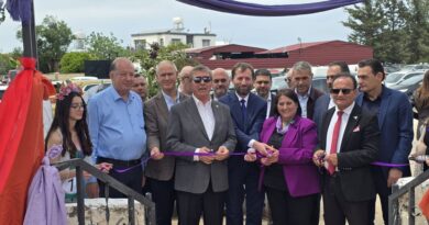 14. Mormenekşe Enginar Festivali Başbakan Üstel tarafından açıldı