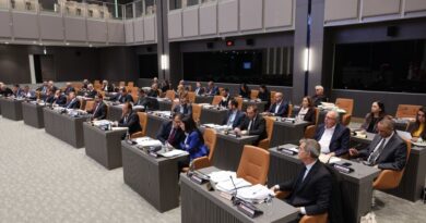 Meclis Genel Kurulu’nda güncel konuşmalar yapılıyor