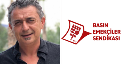 Basın-Sen’den Türkiye’ye giriş yasaklarına tepki