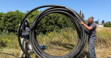 Narenciye üretiminde su tasarrufu ve verim artışı için proje başlatıldı