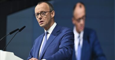 Merz: ABD’de eğitim görmeyi ve çalışmayı iki kez düşünün