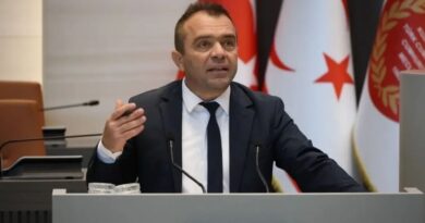 Şahiner: “Bu yasa denize düşenin yılana sarılmasıdır”
