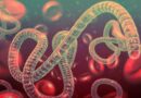 ABD, Ebola salgını nedeniyle ülkeye girişlerde denetimi artıracak