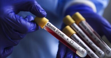 Sınır Tanımayan Doktorlar: Ebola daha önce benzeri görülmemiş bir hızla yayılıyor