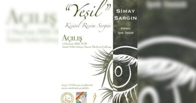 Simay Sergın’ın ilk kişisel sergisi pazartesi açılıyor