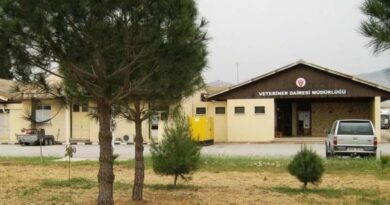 Veteriner Dairesi’nden kurban açıklaması