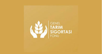 Patates üreticileri için itiraz süresi çarşambaya kadar uzatıldı