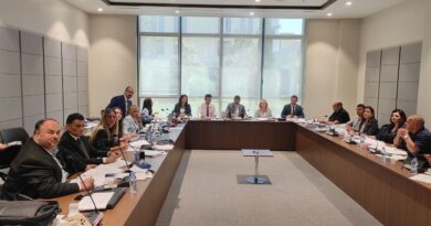 İdari, Kamu ve Sağlık İşleri Komitesi iki yasa tasarısını görüştü