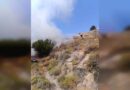 Taşkent’le Güngör arasındaki yangın söndürüldü