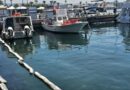 Baf limanında ciddi mazot ve sıvı atık kirliliği yaşanıyor