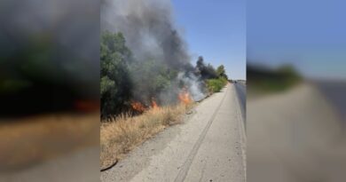Kurudere köyü yakınlarındaki koruluk alanda yangın…